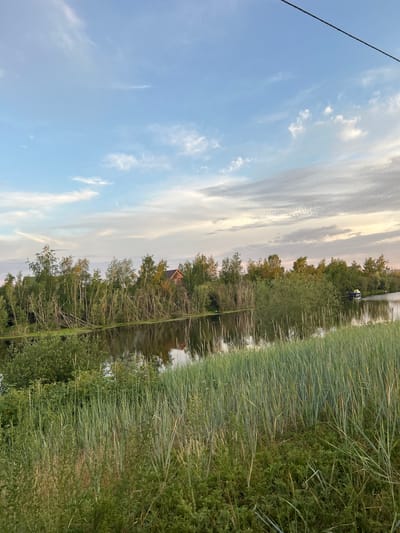 The image depicts a serene natural scene with a body of water in the foreground, reflecting the sky and surrounding vegetation. A line of trees and foliage borders the water, with a small wooden building visible amongst the trees. The sky above is partly cloudy with a mix of blue and white. The foreground is dominated by tall green grasses and other plants. The presence of a thin black wire stretching diagonally across the upper portion of the image suggests the proximity of human infrastructure, possibly a power line. No people or animals are visible in the frame. The overall impression is of a peaceful, somewhat wild, waterside landscape.