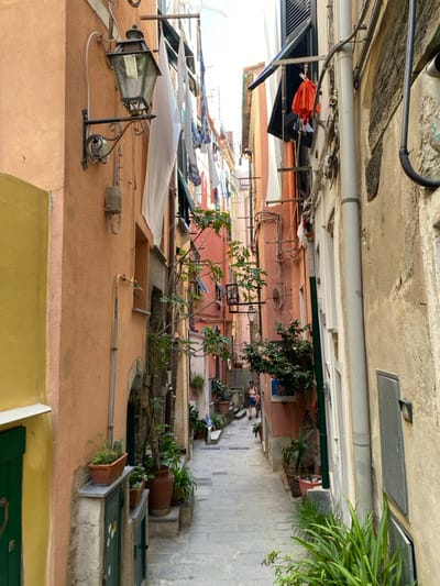 This image depicts a narrow, paved alleyway in Vernazza, Italy, lined by multi-story residential buildings. The perspective looks down the sloped alley towards the background.
The building on the left features a peach-colored stucco facade with a bright yellow section in the foreground. An ornate black metal lantern with glass panes is mounted on this wall, above which white laundry, including a large sheet, hangs from a clothesline spanning the alley. Below the lantern, various utility conduits and pipes are visible. Further down, an arched doorway and a rectangular window opening are present, with numerous potted plants on ledges and the ground level.
The building on the right has a light beige, textured facade. A prominent white vertical drainpipe runs down this wall, accompanied by other utility lines and a grey utility box near the bottom. Above, dark open window shutters are visible, and an orange garment hangs to dry from a clothesline.
The alley's floor is paved with grey stone slabs, showing signs of wear and age, with a drainage grate visible in the mid-ground. Both sides of the alley are heavily adorned with potted plants and greenery, some growing directly from wall crevices.
In the background, two individuals are walking away from the viewer down the alley. One person wears a light-colored top and dark shorts, while the other wears darker clothing. Additional colorful buildings, with laundry hanging from windows, are visible further down the narrow passage, beneath a bright sky.