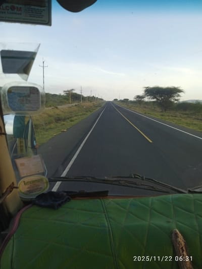 A forward-facing view from inside a vehicle shows a straight asphalt road stretching into the distance under a pale sky. A solid white line marks the left edge, and a broken yellow line separates lanes. Sparse vegetation and utility poles line the roadside. Part of the dashboard and green seat are visible in the foreground. A date stamp reads "2025/11/22 06:31".
