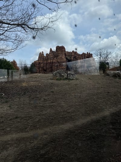 The image shows a scene at the Columbus Zoo and Aquarium in Powell, Ohio, United States of America. A man-made rock formation rises against a cloudy sky. Bare trees are visible in the foreground. Adjacent to the rock formation is a dirt area. The picture was taken through a window, which is shown by black spots.