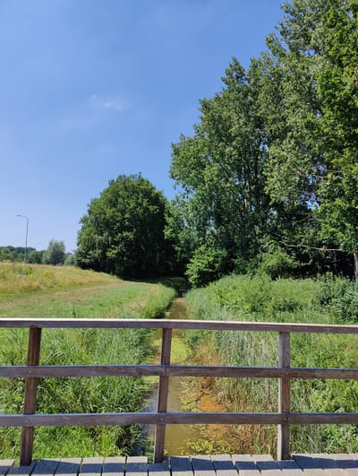 The image depicts a serene natural scene in Breda, Netherlands, featuring a wooden bridge in the foreground overlooking a narrow, tree-lined canal. The bridge's railing, made of light-colored wood, is a prominent element. Beyond the bridge, the canal flows gently, bordered by lush green reeds and vegetation. On the left side of the canal, a grassy field extends towards a line of trees and streetlights in the distance. The right side of the canal is densely forested with large, mature trees. The sky above is a clear, bright blue with a few wispy clouds. The overall impression is one of a peaceful, sunlit day in a natural setting within Breda.