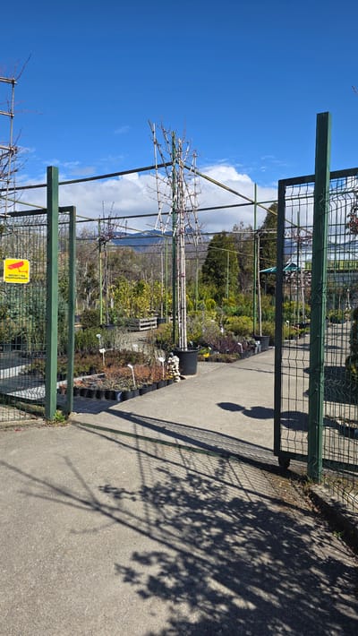 The image shows a fenced area in Usoika, Bulgaria. A concrete path leads into the enclosed space through an open gate. Within the fenced area, there is a variety of plants, some in pots, others in garden beds. Bare trees are visible, supported by green metal frameworks. A yellow warning sign is attached to the fence on the left. Beyond the plants, there are trees and a distant mountain range under a blue sky with clouds. Shadows of trees and the gate fall on the concrete path.