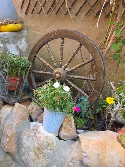 An old wooden wagon wheel leans against a sandy-colored wall, partially overgrown with dry branches and green leaves. A white cylindrical planter overflowing with lush green foliage and small white and pink flowers sits next to the wheel. In the foreground, a rusty metal basket holds another potted plant with thin, trailing green stems and tiny orange flowers. To the left of the wheel, a section of a wooden trellis is visible, and below that, a yellow object wrapped in burlap rests on a concrete surface. Large, rough-hewn rocks, some with lichen growth, are arranged around the plants and the wheel, suggesting an outdoor setting. The lighting appears natural, indicating daylight. The overall scene evokes a rustic, garden-like atmosphere.