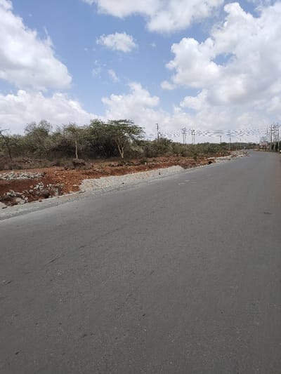The image captures an outdoor scene featuring an asphalt road, natural vegetation, and utility infrastructure under a bright, cloudy sky.
In the foreground, a smooth, dark grey asphalt road occupies the lower two-thirds of the frame, extending from the bottom left corner and curving gently towards the right in the distance. The road appears to be in good condition, possibly recently paved or well-maintained.
To the left of the road, there's an embankment or shoulder area. This section consists of reddish-brown earth mixed with rocks, suggesting exposed soil. Along the immediate edge of the road, there's a visible construction or reinforcement effort, characterized by a line of greyish-white stones or concrete blocks, possibly forming a drainage channel or a stabilized road edge. Beyond this, further to the left, is dense, dry-looking scrubland with numerous trees and bushes. Some of these trees have light-colored, slender trunks, and their foliage is generally green, indicating a savanna or semi-arid environment.
In the mid-ground and extending into the distance on the right side of the road, a series of wooden utility poles with power lines can be seen. These poles stretch far into the background, indicating significant infrastructure. The power lines create a noticeable visual pattern against the sky and distant landscape. Further down the road on the right, there appears to be a small commercial or informational sign, but the text is too blurry to be deciphered clearly, though faint white lettering like "P**L**E" might be discernible on a darker background.
The background is dominated by a bright blue sky filled with scattered, fluffy white cumulus clouds. The lighting suggests it is daytime, likely late morning or early afternoon, given the bright illumination. No specific human activity or vehicles are visible in the frame, implying a relatively quiet or open area, possibly undergoing development or expansion, given the road and utility infrastructure.