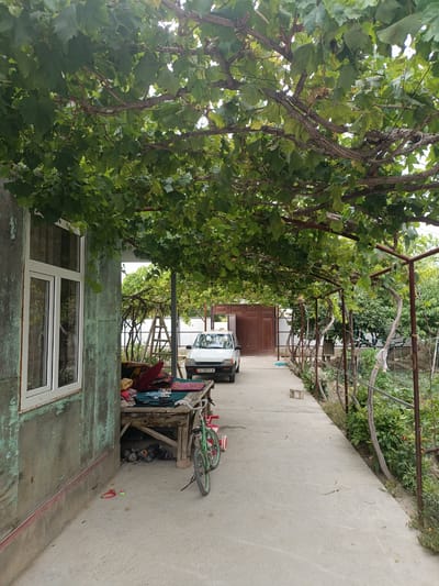 The image shows a pathway under a canopy of grapevines in the city of Tash-Dobo, Kyrgyzstan. A white sedan is parked on the concrete path, with a large brown gate visible in the background. To the left, a weathered green building with a white-framed window stands adjacent to the path. Under the grape canopy, a rustic wooden table is laden with colorful textiles, and a green bicycle with a red rear wheel is parked nearby. Several pairs of shoes are scattered beneath the table. The pathway is bordered by a wire fence and a garden with various plants and vegetation.