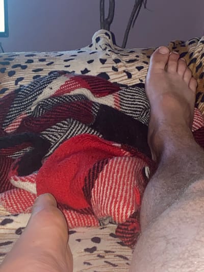 The media file shows a close-up of a person's feet resting on a patterned blanket. The blanket has a leopard print and a red, black, and white plaid design. The person's legs are partially visible, with one leg covered in hair. The scene appears to be indoors, with a dim purple background suggesting it is nighttime or the room is dimly lit. There are no visible text elements in the image. The focus is on the textures of the blanket and the skin of the feet, creating an intimate and relaxed atmosphere. The overall impression is one of comfort and repose.