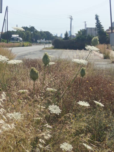 The image depicts a scene in the city of Pyrgos Community, Cyprus, featuring a roadside area with dry vegetation and some flowering plants in the foreground. In the background, a road is visible, with a white vehicle, possibly a caravan or RV, parked on the left side. Beyond the road, there are trees and buildings, including what appears to be a large, rectangular structure with a grid pattern. Power lines and utility poles are prominent across the sky. The overall impression is one of an urban edge or undeveloped area.