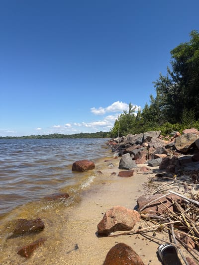 The image depicts a serene natural landscape on the shore of the Kyiv Reservoir in Lebedivka, Ukraine. A gentle wave laps onto a sandy beach dotted with large, reddish-brown rocks. In the distance, a lush green treeline stretches across the horizon under a clear blue sky dotted with a few wispy clouds. Some dry reeds and branches are scattered on the sand near the rocks, suggesting a natural, untamed environment. The scene is peaceful and highlights the beauty of the Ukrainian coastline.