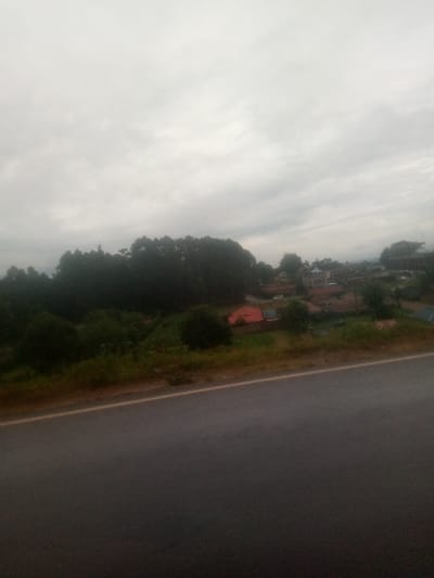 The scene presents an elevated, static view of a semi-urban landscape in Muguga ward, Kenya, under a uniformly overcast sky. The foreground is dominated by a dark gray asphalt road with a faint light-colored shoulder line marking its edge. Immediately beyond the road, a strip of brown soil transitions into dense green and brown vegetation. The midground features a prominent, dark green tree line, partially obscuring the area behind it. To the right of this tree line, a cluster of residential structures is visible, characterized by varied architectural styles and roof colors, including one distinct building with a red roof. Several light-colored vehicles, including a white sedan, are present on unpaved surfaces within this residential cluster. No human figures or discernible activities are observed.