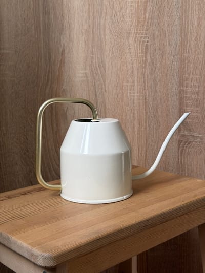 A white watering can with a brass handle rests on a light brown wooden surface. The watering can has a conical body and a long, slender spout. The background is a textured wood-paneled wall in a light brown color. The scene appears to be indoors, possibly in a home or studio setting, with no indication of the specific location within Фролы, Russia. No people or animals are present in the image.