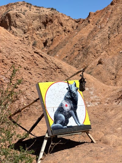 The image shows a shooting target of a wolf with a red bullseye, riddled with bullet holes. The target is mounted on a wooden frame and positioned outdoors against a backdrop of a reddish-brown, rocky hillside. The sky above the hillside is blue. The scene is located near Tosor, Kyrgyzstan.