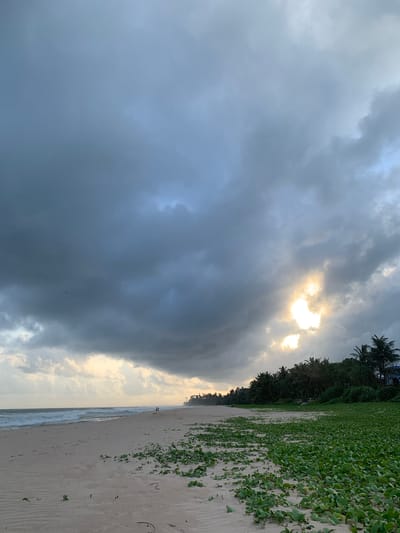 The image depicts a wide, sandy beach in Habaraduwa, Sri Lanka, under a dramatic, cloudy sky. The ocean on the left features gentle waves rolling onto the shore. The sand is light brown and shows subtle ripples, with scattered footprints. Lush green vegetation, appearing to be ground cover plants, blankets the sand on the right side of the frame, extending towards a dense line of palm trees and other tropical foliage that forms the backdrop. A few small figures, possibly two people, are visible walking on the beach in the distance. The sky is dominated by dark, heavy clouds, with a bright patch of sunlight breaking through on the right, illuminating the upper portion of the trees and a small portion of the sky. The overall mood is atmospheric, suggesting the transition between day and evening or an approaching weather change.