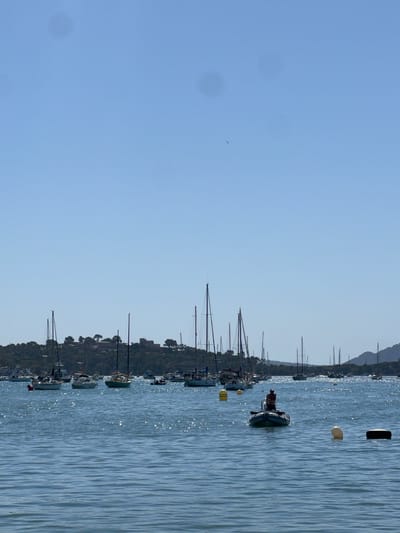 The image captures a scenic view of a bay filled with sailboats, likely in Port De Pollença, Spain. The water is a vibrant blue, sparkling under the bright sun, with ripples indicating a gentle breeze. Numerous sailboats of varying sizes are anchored or moored in the bay, their masts creating a dense forest against the backdrop of a lush, green hillside dotted with buildings. A small, inflatable dinghy with a single person navigating it is visible in the foreground, moving across the water. The sky is a clear, pale blue, with a few indistinct blurry spots, possibly from lens imperfections or atmospheric conditions. In the distance, hills form a soft silhouette against the horizon. The overall impression is one of a peaceful, idyllic maritime setting.