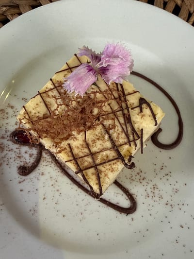 A dessert presentation on a white plate. A square of cheesecake with a pale yellow filling is topped with chocolate shavings and a grid pattern of dark chocolate drizzle. A small, purple flower is placed on the edge of the cake as a garnish. Dark chocolate sauce is swirled around the plate. The setting is likely a restaurant, possibly in Santiago de Querétaro, Mexico, based on the user's request. The image is a close-up shot from directly above.