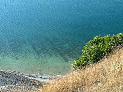 The image shows a view from a cliff overlooking the Black Sea near Myskhako, Russia. The water is a clear turquoise color, with the seabed visible in the shallower areas. Darker patches on the seabed suggest the presence of rocks or vegetation. A small dark object, possibly a buoy or a distant boat, is visible in the upper left portion of the water. The cliff face is made of layered grey rock, with dry grass growing on its surface. In the foreground and to the right, a dense area of green foliage, likely bushes or trees, is visible, bordering a patch of dry, golden-brown grass. The overall scene depicts a natural coastal landscape under a clear sky, with the emphasis on the interplay between the land and the sea.