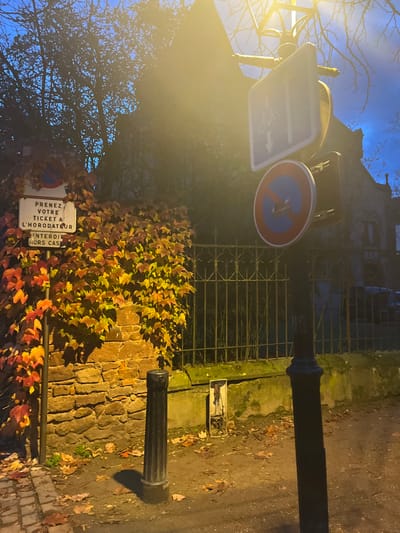 This image captures a street scene in Obernai, France, during twilight or night, illuminated by a prominent artificial light source. The foreground consists of an unpaved ground surface covered with scattered fallen autumnal leaves in shades of orange, red, and brown. A dark, fluted cylindrical bollard stands on the left. To the left, a stone wall is heavily adorned with vibrant, multi-colored ivy-like foliage, ranging from deep red to yellow-green. Attached to a slender pole partially obscured by the foliage is a white rectangular sign with French text, reading "PRENEZ VOTRE TICKET A L'HORODATEUR" (Take your ticket at the parking meter) and "INTERDIT HORS CAS" (Forbidden outside cases), indicating parking regulations.

Above the stone wall and foliage, a dark, ornate metal fence with vertical bars and decorative scrollwork stretches horizontally across the mid-ground. Beyond the fence, a large, dark building with a steep, gabled roofline is partially visible, appearing weathered or shadowed. Bare tree branches are silhouetted against a deep twilight blue sky in the upper left and right portions of the frame.

On the right side of the image, a dark streetlamp pole ascends vertically, supporting a bright, yellowish light source that casts a strong flare over the upper right quadrant. Mounted on this pole are two traffic signs: an upper blue rectangular sign displaying a white bicycle symbol with vertical up and down arrows, and a lower red-bordered circular sign with a blue background and a red diagonal line, denoting "no stopping," oriented slightly askew. A second dark bollard is partially visible at the base of the streetlamp pole.