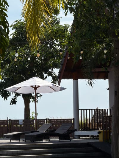 This image depicts an outdoor seating area with lush greenery and string lights. In the foreground, a large white umbrella, partially opened, is visible, supported by a wooden pole. To the left, vibrant green palm fronds catch the sunlight, contrasting with the darker leaves of a large tree behind it. A string of illuminated bulbs hangs across the scene, adding a festive touch. In the background, there's a glimpse of an outdoor dining setup with wicker chairs and tables, framed by a dark railing and what appears to be a building with a tiled roof. The overall impression is that of a pleasant outdoor space, likely a cafe or restaurant, on a sunny day, perhaps in the late afternoon given the warm light. The image is oriented vertically, giving a sense of looking up into the trees and sky. There is no visible text.