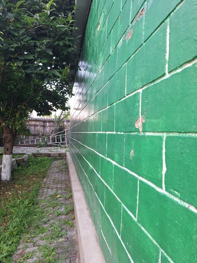 The image depicts an outdoor scene with a prominent green brick wall that dominates the right side of the frame. The wall shows signs of wear, with some areas of peeling paint revealing a reddish-brown subsurface. To the left of the wall is a narrow brick pathway bordered by overgrown green grass and weeds. A tree with a white-painted trunk stands on the left side of the pathway. In the background, a wooden fence is visible, along with some plants and a white ladder leaning against it. The overall setting suggests a slightly neglected outdoor area, possibly a backyard or side yard in a residential or industrial area of Nabran, Azerbaijan. No people are present in the image.