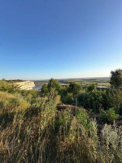 The image depicts a panoramic view of a quarry in Verbka, Ukraine, under a clear blue sky. The foreground is dominated by tall, dry grasses and green vegetation, suggesting a natural, somewhat untamed environment. To the left, a large, layered quarry wall is visible, revealing stratified rock formations in shades of white and beige. The quarry pit itself appears to be a concave depression in the landscape. Beyond the quarry, a vast expanse of cultivated fields stretches towards the horizon, interspersed with scattered trees and a few distant structures, indicating a rural agricultural setting. The lighting suggests it is late afternoon or early morning, with the sun casting long shadows and highlighting the textures of the land. There are no people or specific objects of human activity immediately discernible in the foreground or the immediate vicinity of the quarry. The overall scene conveys a sense of expansive, natural landscape with signs of human land use in the form of the quarry and agricultural fields.