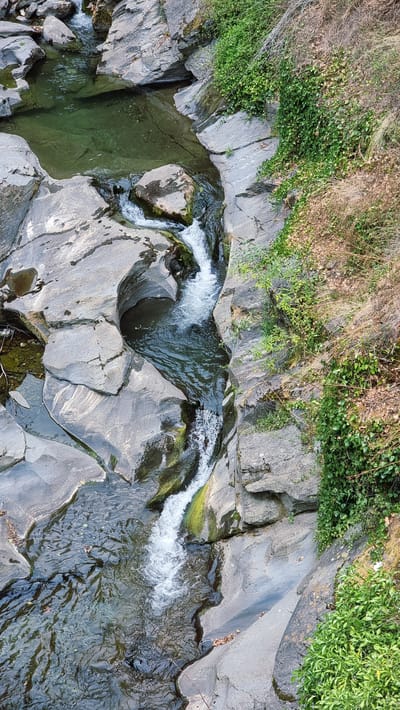 The image shows a narrow gorge carved by a flowing stream. The water is clear and green, with white rapids where it cascades over rocks. The surrounding rocks are grey and weathered, with some patches of moss and vegetation clinging to them. Lush green ivy covers parts of the rocky walls, and dry brown foliage is also visible. The scene is natural and serene, evoking a sense of untouched wilderness within an urban setting, specifically the scenic area near Camprodon, Spain. No people or man-made structures are visible, emphasizing the natural beauty of the environment.