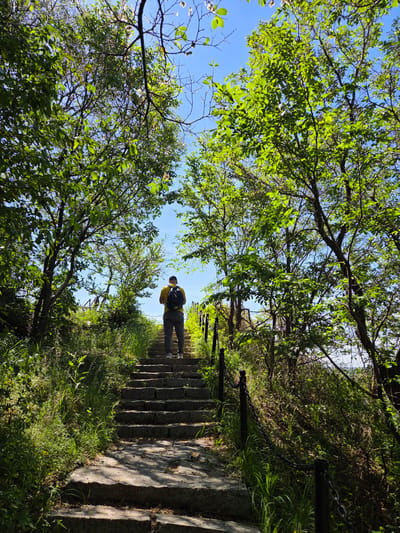 A low-angle photograph captures a person ascending a stone staircase through a verdant landscape under a bright, clear sky. The scene is set on a sunny day in Jiejinkou, China, likely on a hiking trail or historical pathway.

The primary subject is a person, seen from behind, making their way up the steps. They are dressed in a yellow shirt, dark pants, and a cap, and are carrying a black backpack. The stone steps are roughly hewn and appear ancient or well-worn, leading upwards and curving slightly to the right, disappearing into the distance. To the right of the staircase, a simple barrier made of black metal posts connected by chains runs alongside the path, separating it from dense green grass and shrubs.

The path is heavily canopied by trees with lush, vibrant green leaves that fill the upper and side portions of the frame, creating a tunnel-like effect. Bright sunlight filters through the foliage, casting distinct shadows on the steps and illuminating the leaves with a rich glow. Patches of clear, bright blue sky are visible between the tree branches, indicating fair weather. The overall atmosphere suggests a peaceful and invigorating outdoor activity. There is no visible text in the image.