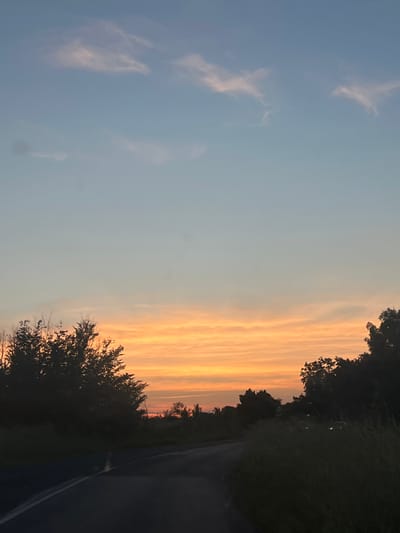 The image captures a rural road scene during either sunset or sunrise in Novo Panicharevo, Bulgaria. The sky dominates the upper two-thirds of the frame, displaying a gradient from a pale, clear blue at the top to a vibrant orange and yellow at the horizon, indicative of the setting or rising sun. Scattered, thin clouds are present, with those higher up appearing faint white against the blue, and those lower down catching the warm orange light.
The lower third of the image features a dark, two-lane asphalt road, visible in the foreground, curving gently to the right as it recedes into the distance. A single white line marks the left edge of the road. Dense, dark green to almost black foliage, consisting of trees and tall grasses, flanks both sides of the road, appearing largely as silhouettes against the brighter sky. On the right side of the image, through the obscuring foreground vegetation, two distinct, bright white points of light are visible in the mid-ground, consistent with the headlights of a vehicle. No individuals or specific actions are discernible within the frame beyond the presence of the road and implied vehicle.