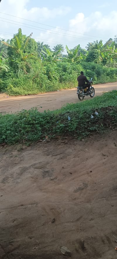 The image shows a dirt road in Amauzu, Nigeria, with a man riding a motorcycle away from the camera. Lush green vegetation, including banana trees, borders the road. Power lines are visible overhead. The foreground shows a sandy, uneven surface with scattered leaves.