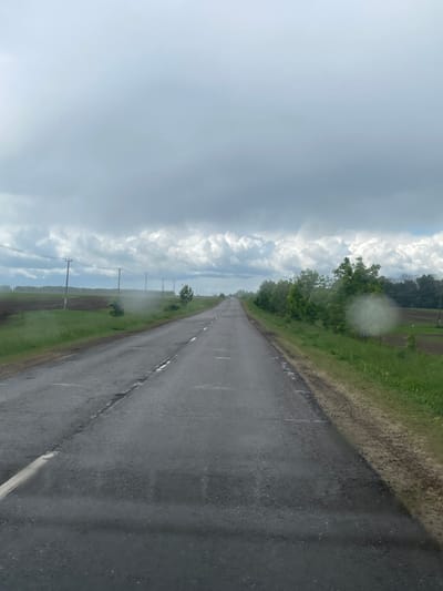 The image depicts a long, straight asphalt road stretching into the distance in Петрово, Russia. To the right of the road is a grassy verge transitioning into agricultural land. To the left of the road, there is a parallel line of utility poles against a backdrop of storm clouds. The sky is overcast, and the road surface appears wet. No people are visible.