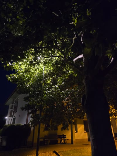 The image shows an outdoor scene at night, likely in Kostelec na Hané, Czechia. A large tree with lush green leaves dominates the foreground, illuminated from below by a bright light, possibly a streetlamp. The light casts a glow on the leaves and branches, creating a dramatic contrast with the dark surroundings. A thick tree trunk is visible in the upper left of the frame, partially obscured by foliage.

Behind the tree, a building with a pale yellow facade and dark windows is visible. A covered porch or walkway runs along the building, with a bench and table set up underneath. The building appears to be residential or a small commercial establishment. The overall impression is one of a quiet, suburban or rural setting at night. The time of day is clearly night due to the darkness and artificial lighting. No specific weather conditions are discernible, but the presence of leaves suggests it is not winter. No people are visible in the image. The lighting creates a somewhat mysterious or serene atmosphere. No text is visible in the image.