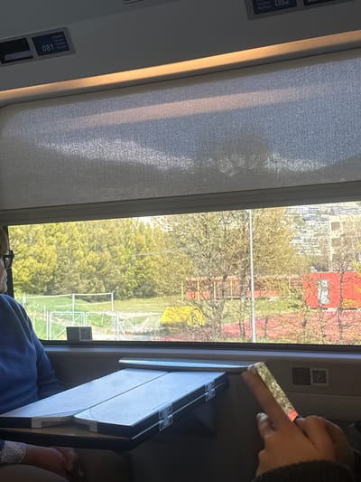 A view from inside a train carriage traveling through Sion, Switzerland. A window shows an exterior view of a city with a mix of residential buildings and green areas. Trees with green and yellow foliage are visible. A partially closed blind covers the window. Inside the train, a fold-down table is open and a person wearing a blue shirt is seated by the window. The fingers of another person’s hand are visible, reaching to the window. Small signs with numbers “081” and “082” are on the wall.