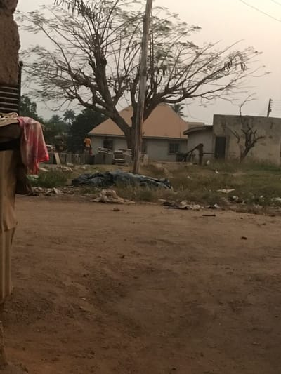 This media file captures a static scene in Ago-Abo, Nigeria, depicted under an overcast sky. The image primarily features a wide, unpaved dirt road or path on the right side, which appears dry and uneven. To the left of this path, a strip of sparse, light green grass is visible, littered with various items of refuse, including white plastic bags and dark fabric.
A large, leafless tree with intricate, dark branches dominates the left midground, partially obscuring a utility pole positioned directly in front of its trunk. Behind the tree and the grassy strip, several single-story buildings with light-colored walls and roofs are arranged. These structures appear simple, possibly constructed from concrete or stucco, with visible windows. In the far background, a dense cluster of green foliage, including what appears to be palm trees, rises above the buildings, suggesting a more vegetated area beyond.
A small figure, possibly a person, can be faintly seen in the distance between two of the buildings, wearing a light-colored top. In the lower left foreground, a prominent reddish-pink plastic bag is noticeable. The overall lighting is soft and diffused, indicative of a cloudy day, with no harsh shadows. No specific activity or event is taking place, and no discernible text is visible within the frame.