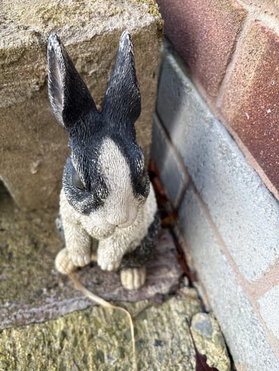A statue of a black and white rabbit is situated on a weathered stone surface. The rabbit is positioned near a brick wall and a concrete block. The photograph was taken outdoors, and the city of Minsterley, United Kingdom, cannot be confirmed from the provided image.