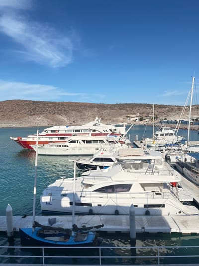 The image depicts a marina in La Paz, Mexico, under a clear blue sky with minimal cirrus clouds. The environment includes a tranquil turquoise-blue body of water with arid, light brown hills forming the background, dotted with sparse vegetation and a few distant structures.

In the foreground, a small, dark blue sailboat with a tan sail cover and a small outboard motor is docked to the left. Immediately to its right and extending towards the midground is a large, white catamaran-style yacht, identified by text on its hull that includes "030044713145" and "LAGO AZUL." Floating white docks with mooring pilings are visible in the foreground, with metal railings suggesting the viewpoint is from an elevated position.

In the midground, several vessels are moored. To the left, two large, multi-decked yachts are rafted together; the outer vessel features a red hull stripe and a white superstructure with "SOLMAR V" visible on its bow, while the inner vessel is predominantly white. To the right, numerous smaller recreational boats, including sailboats and powerboats, are docked along jetties. One notable powerboat in the midground has a distinctive shark-mouth decal on its bow. No individuals are visible engaging in activities. The scene is static, portraying a marina populated with moored vessels on a clear, sunny day.