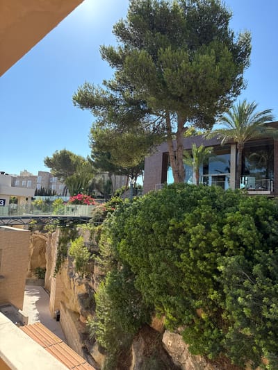 This image depicts a sunny outdoor scene in a Mediterranean setting, likely Badia De Palma, Spain. A large, mature pine tree with lush green foliage dominates the left side of the frame, its branches reaching towards a clear, bright blue sky. To the right, a modern building with large glass windows and dark framing is visible, reflecting the sky and surrounding greenery. A palm tree stands tall next to the building, adding to the tropical ambiance.
In the foreground, a section of a beige, textured wall or building is visible, suggesting a balcony or rooftop vantage point. The middle ground reveals a rocky embankment covered with dense green bushes and smaller trees, creating a natural, terraced effect. A walkway with a glass railing and dark metal supports runs along the embankment, providing a pathway through the landscape. Bright pink flowers add a splash of color to the vegetation. Further back, several multi-story buildings with light-colored facades and numerous windows are nestled into the landscape.
The time of day appears to be mid-morning or early afternoon, given the bright sunlight and clear skies, indicative of warm, pleasant weather. The overall mood is serene and tranquil, highlighting the beauty of the natural surroundings combined with modern architecture. While no people are clearly discernible, the reflection in the building's windows suggests some activity inside. The visible text "3" is present on a sign in the distance, but its context is unclear. The combination of architecture, dense vegetation, and clear blue sky points to a resort or residential area in a warm climate.