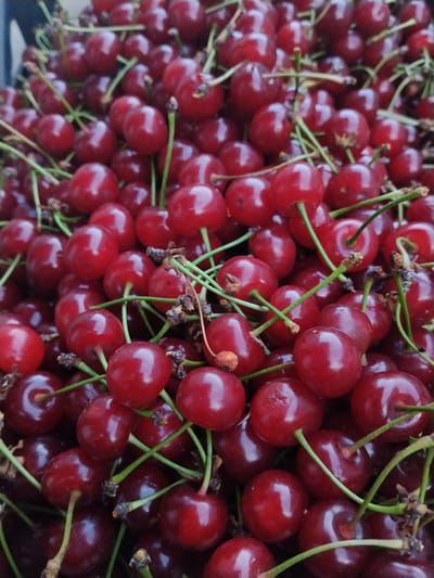 A close-up, overhead shot displays a large pile of ripe, dark red cherries with green stems. The cherries are tightly packed, with some stems overlapping and others extending out. The lighting suggests an outdoor setting, possibly under natural daylight. The image appears to be taken in Cîrpești, Moldova, given the context provided, and depicts a harvest or market display of the fruit. There are no people or discernible actions, only the static arrangement of the cherries.