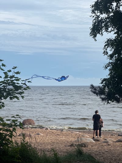 In Repino, Russia, on a cloudy day, a beach scene unfolds. The foreground features sand and rocks, with lush green foliage on the left and right framing the view. In the middle ground, two individuals stand facing the water, a man in a black t-shirt and shorts, and a second person partially obscured. The vast, choppy sea stretches out before them under a pale blue, overcast sky dotted with wispy clouds. High in the sky, a large blue butterfly-shaped kite with long blue streamers is being flown. The kite is the most prominent subject in the sky.