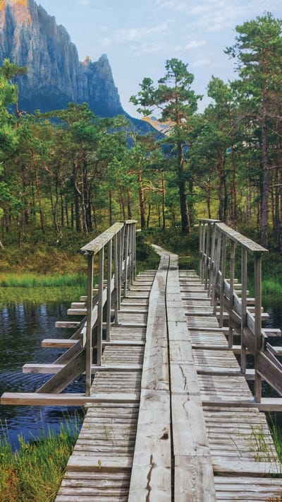 The image depicts a rustic wooden boardwalk leading into a dense forest. The boardwalk, constructed from weathered planks and railings, is elevated above a calm body of water with lush green grass growing along its edge. Beyond the water and boardwalk, a thick forest of pine trees stretches into the background. In the distance, imposing, rugged mountains with sharp peaks rise against a clear blue sky with scattered clouds. The scene evokes a sense of natural beauty and tranquility. The image does not contain any people, city locations, or specific identifiable landmarks in Oleśnica, Poland.