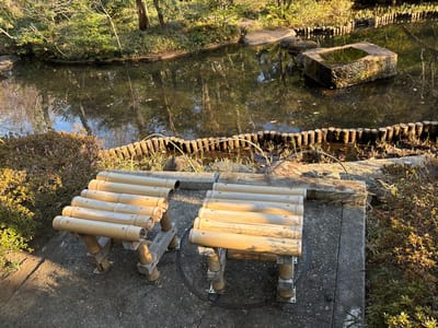 The image shows two bamboo benches placed side by side on a concrete path overlooking a small pond. The pond is surrounded by a low stone wall with a small rectangular stone island in the center. The water is calm and reflects the surrounding trees and sky. There are green shrubs and trees surrounding the pond and path. The benches are made of stacked bamboo poles, with each pole secured by metal fasteners. The benches are positioned on the path at the edge of the pond, offering a view of the pond and surrounding natural scenery. The benches are unoccupied. The location is in the Minato City area of Tokyo, Japan, based on the provided coordinates. The scene is bathed in the golden light of a sunny day.