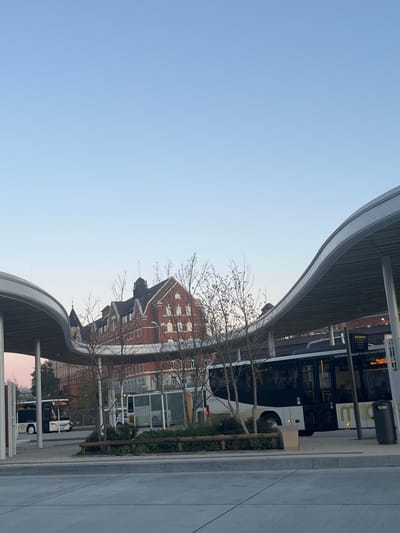 The image depicts the Tuttlingen Busbahnhof (Bus Station) in Tuttlingen, Germany, under a clear, pale blue sky. In the foreground, two modern bus shelters with distinctive undulating, light-colored roofs and supporting pillars frame the scene. A multi-story historic building constructed of red brick, identified as the Tuttlingen Rathaus (City Hall), stands prominently in the background, featuring a dark pitched roof with gables, dormer windows, and a spire-like structure on its left side.

A white and black branded bus, marked "movia", is stationary under the right-hand bus shelter, displaying "Verkehrsverbund Schwarzwald-Baar" on its destination sign. Multiple indistinct human figures are visible through the windows of this bus, appearing to be passengers. A dark cylindrical waste bin and an information display board are positioned near this bus stop. To the left, a second white bus, partially visible, is parked under the left shelter. Between the buses, a light-colored utility vehicle is discernible.

The ground is paved with light grey concrete. Several deciduous trees with bare branches are scattered throughout the scene, particularly between the bus shelters and the Rathaus. A rectangular planter with a low wooden fence contains shrubs and small trees in the central mid-ground. The scene is illuminated by natural daylight.