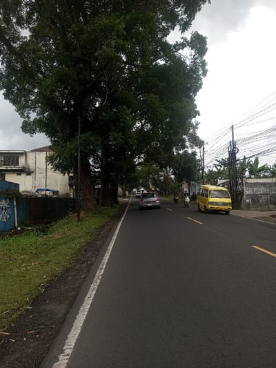 A road stretches forward with a gray car, scooter, and yellow van. Lush trees canopy the left side, bordering grass and a low, blue wall with graffiti. Wires cross the sky, connected to poles near a white wall. A building is visible behind the trees, suggesting a populated area. The road is marked with yellow lines, and a white line separates it from the grassy shoulder on the left. The sky is overcast.