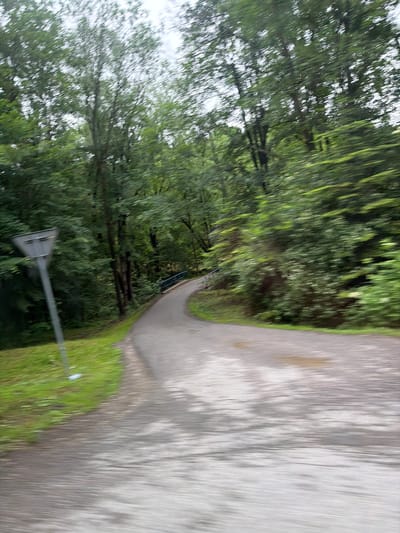 The image captures a blurred, motion-effected view of a paved path winding through a dense forest in Wilkowisko, Poland. A grey, triangular directional signpost is visible on the left side of the path. The path curves to the right and appears to lead towards a small blue-railed bridge in the distance. The surrounding environment consists of numerous trees with lush green foliage, indicating a natural setting. The overall impression is that of movement, possibly from a vehicle.