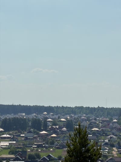 The image presents a view of a residential area near Ягул, Russia. The sky occupies the left portion of the scene, transitioning from light blue to a slightly hazy hue. On the right, a line of trees defines the edge of a settlement consisting of numerous houses, identifiable by their rooftops. The houses are interspersed with greenery and some bare terrain. A tall, thin pole-like structure is visible in the distance, rising above the tree line. A tree branch partially obscures the view in the lower right corner.