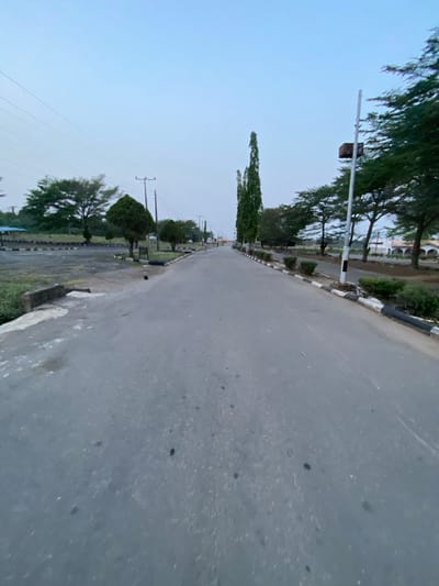An empty, straight asphalt road extends into the distance under a pale blue sky in Osu, Nigeria. The grey road surface shows minor irregularities and scattered dark spots. On the left, a black and white painted curb borders a wide, unpaved area. This area contains a large, dark paved section with numerous black and white concrete blocks, alongside various trees, utility poles with overhead power lines, and a partial view of a blue-roofed structure in the far background. A small, dark, unidentifiable object rests on the paved ground near the left curb. On the right, a similar black and white curb outlines a landscaped strip featuring a row of tall, slender evergreen trees and other foliage. A light pole with a dark, rectangular fixture is prominent on the right, and light-colored buildings with archways are visible in the far-right background. No people or vehicles are present.