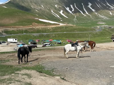 The image depicts a rural outdoor scene in Gudauri, Georgia, with a mountainous backdrop. In the foreground, three horses are present: a black horse facing left, a white horse with a black saddle facing right, and a brown horse partially visible behind the white horse. The horses are standing on a gravelly ground. In the midground, there are several small, colorful structures resembling market stalls or tents. A white trailer with windows is parked to the left of these stalls. Several vehicles, including a white van and cars, are visible in the background. The environment is characterized by green, grassy hillsides with patches of snow, indicating a high-altitude location. The sky is blue with some clouds.