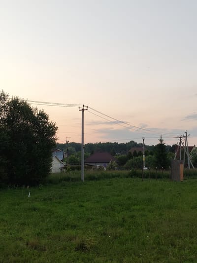 The image depicts a rural landscape in the city of Skurgino, Russia, during what appears to be either early morning or late evening, given the soft, diffused light and pastel colors in the sky. In the foreground, a dense patch of dark green foliage, likely a tree, dominates the left side of the frame. Beyond this, a grassy field stretches towards a line of houses and trees. Several utility poles with wires traverse the middle ground. The houses are characteristic of Russian village architecture, with pitched roofs. A dense forest forms the backdrop, bordering the settlement. The sky is a gradient of pale blue and pinkish-orange, with a few faint clouds visible. There are no people or animals clearly visible in the scene. The overall impression is one of tranquility and a typical rural setting.