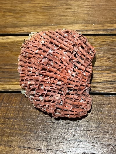 The image shows a close-up, overhead shot of a piece of porous, reddish-pink coral on a wooden surface. The coral has a honeycomb-like structure with many small, interconnected openings. The wood grain is visible, running horizontally across the image. There are no people, actions, or interactions depicted in this image. The location in the city of Legonipah, Indonesia is not discernable from the visual information provided.