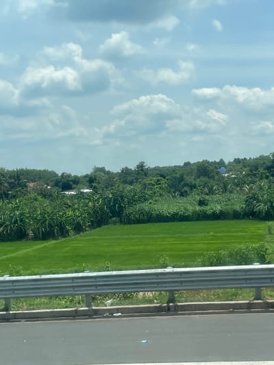 A wide, horizontal, eye-level shot captures a sunlit rural landscape in Bình Xuân 2, Vietnam. The foreground is dominated by a grey metal guardrail with horizontal support beams, positioned over a grey asphalt road. Beyond the guardrail, a lush, bright green rice field occupies the middle ground, its terraced surfaces subtly visible. Behind the rice field, a dense forest of various green trees and foliage forms a verdant backdrop. Peeking through the trees are several white and brown rooftops of houses, and one prominent blue-tiled roof. The sky above is a bright blue, adorned with fluffy white clouds. The scene suggests a peaceful, agricultural area under a clear, partly cloudy sky.
