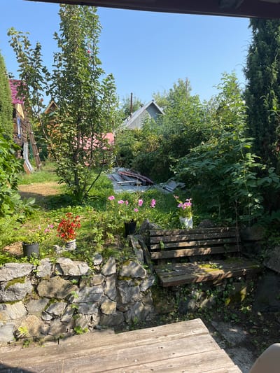 The image depicts a sunny day in a rural backyard, likely in Sad. Uchastki, Russia. The scene is filled with lush greenery and various plants. In the foreground, a portion of a wooden table is visible. Behind it, a rustic wooden bench sits atop a stone wall. The bench shows signs of age and weathering, with moss and lichen growing on its surface. The stone wall is constructed from irregularly shaped rocks, with some vegetation growing through the gaps.

To the left of the bench, a small tree with green leaves and a few red fruits stands tall. In front of the tree, several potted plants are arranged, including one with bright red flowers and another with delicate pink blossoms. A fern can be seen to the left of these plants.

In the background, more trees and bushes create a dense foliage. Several buildings with pitched roofs are partially visible through the greenery, suggesting a residential area. One building on the left has a red roof. A ladder leans against a wooden structure on the far left. A few pieces of corrugated metal and other debris are scattered in the middle ground. The sky is a clear, bright blue. The overall impression is one of a slightly overgrown, lived-in garden space.