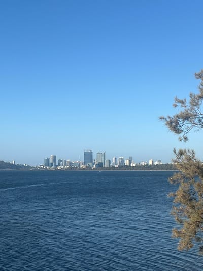 The image presents a wide view across a body of water towards a distant city skyline under a clear blue sky. The scene is observed from Applecross, Australia, looking north across the Swan River towards the central business district of Perth. The upper half of the frame is dominated by a cloudless, light blue sky. Below this, the vast expanse of the Swan River occupies the middle ground, displaying deep blue water with numerous small ripples and faint surface disturbances. On the far right, a section of a tree branch with sparse, dry-looking foliage extends into the frame, partially obscuring the water and sky. The distant horizon reveals the Perth cityscape, characterized by a cluster of numerous high-rise buildings and skyscrapers of varying heights and designs. Some structures appear to be under construction, with a prominent crane visible near a taller building in the central-left portion of the skyline. A thin strip of land with vegetation and some low-rise structures separates the water from the taller city buildings. Two small, light-colored objects, possibly boats or buoys, are visible on the water near the distant shoreline, one to the left of the main city cluster and another to the right. No people, discernible actions, or interactions are visible. The scene is brightly lit by natural sunlight.
