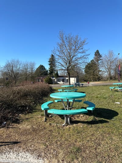 The image shows a picnic area in Sembach, Germany (latitude: 49.527, longitude: 7.868). There is one large, circular turquoise picnic table with four turquoise benches surrounding it. There is a large, bare deciduous tree in the center of the scene, with a smaller, thinner, coniferous tree on the left, behind the table.  In the background is a small brown building with windows and a brown door. The grass is green and there are scattered bare deciduous trees in the background. The sky is clear blue and there is a small, faded red object in the upper left corner. The picnic table in the foreground is empty, as are the rest of the benches and tables.  The scene is taken from the left side of the large picnic table, looking towards the center.